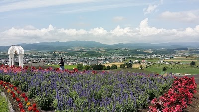 日の出ラベンダー園 Park Akkeshi Gun Hokkaido