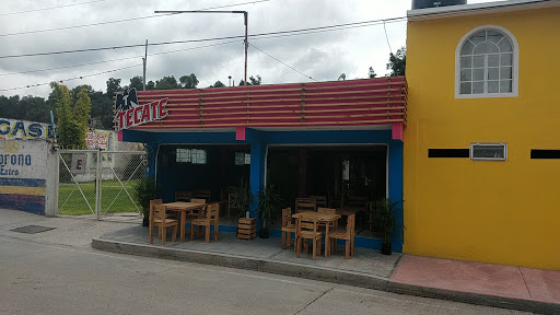 Tu Chela - Visual