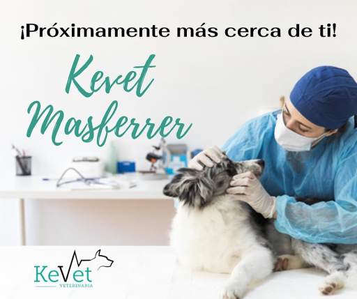 KeVet Veterinaria