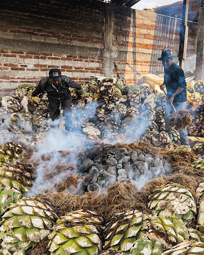 Mezcal Vive Gallery - Mexico