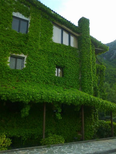 lodging