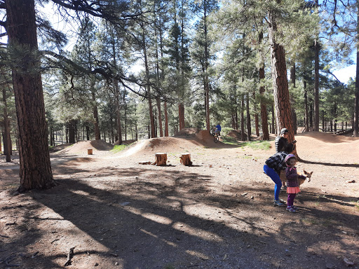 Fort Tuthill Bike Park