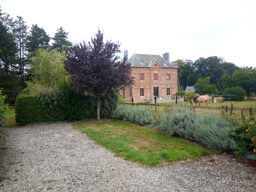 Stellplatz Grigneuseville Gallery - France