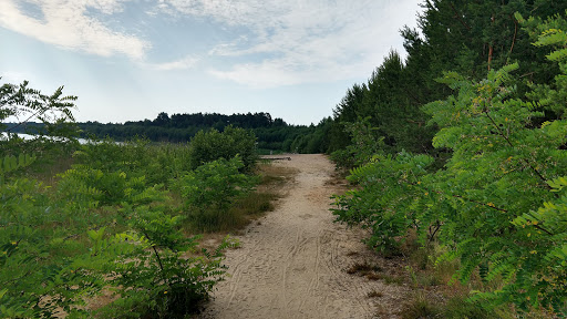 Badestrand Scheibe-See - Thumbnail