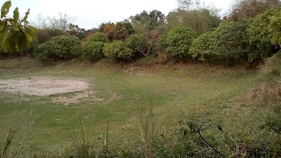 Photos of Bangladesh Institute of Sports