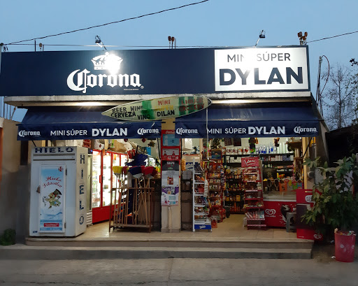 Mini Super Dylan - Visual