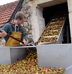 Photo n°1 de Les Vergers de la Passion - Cidrerie à Rauville-la-Bigot (Ferme bio)