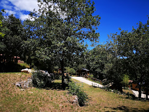 Photo n°8 de Camping le Vieux Vallon à Vallon-Pont-d'Arc (Terrain de camping)