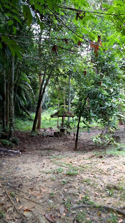 photo of Waterfall Binusan