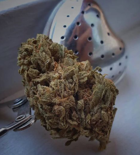 Terra CBD Meyzieu Shop - Thumbnail