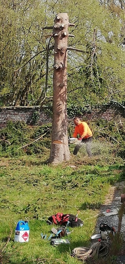 ZIMMER ESPACES VERTS - ÉLAGUEUR PAYSAGISTE | Taille Abattage d'Arbres Déssouchage