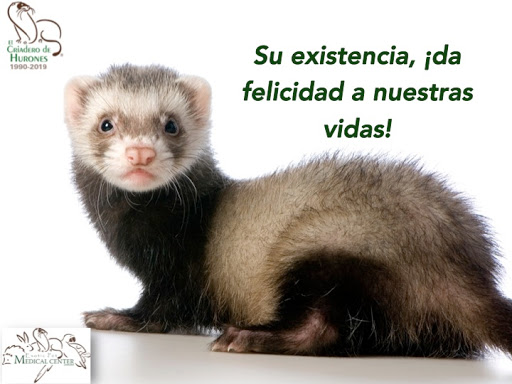 Criadero de Hurones