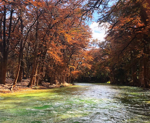 Frio River Casa Rio Rentals