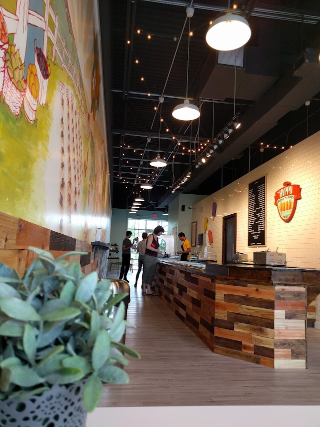 The Hyppo Gourmet Ice Pops