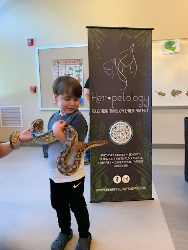 Her-petology Reptile Shows - Thumbnail