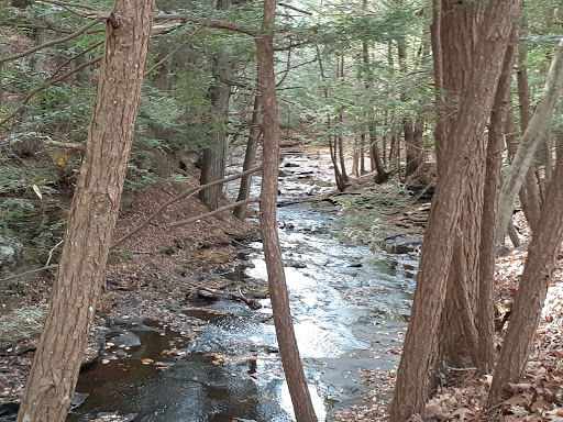 Grayville Falls Town Park - Thumbnail