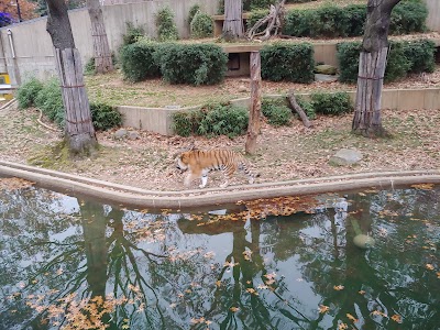 Great Cats Exhibit/Lion and Tiger Hill