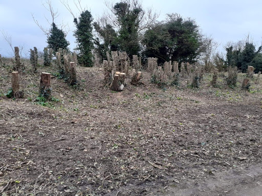 Folkestone & Hythe District Council - Thumbnail