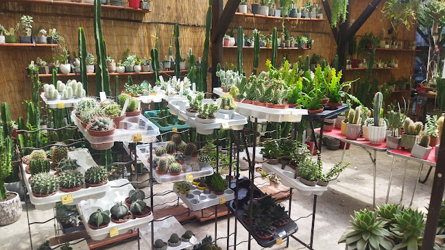 4 Rue Gaston Paymal, 92110 Clichy