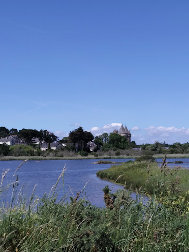 Marais de Suscinio - Thumbnail