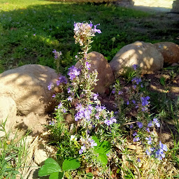 Photo n°10 de Evolu'vert à Arles-sur-Tech (Consultant en environnement)