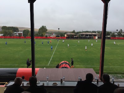 stadium