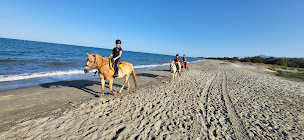 Photo n°24 de Poney-Club Paese Di U Cavalluciu à Sorbo-Ocagnano (Ranch)