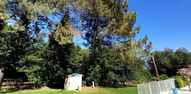 Piscine plein air - Ajaccio