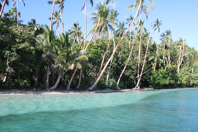 Photos of Dive Academy Fiji