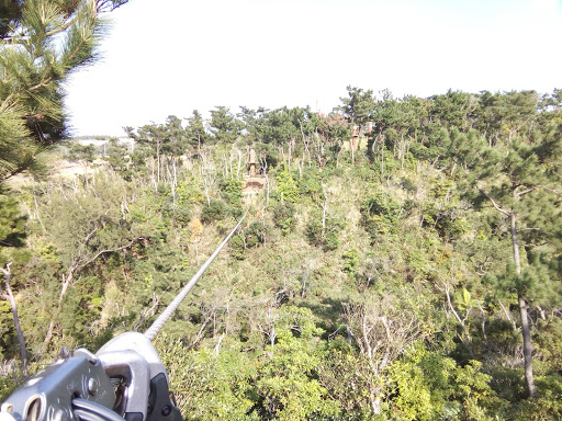 Forest Adventure In Onna Onna Son Destimap Destinations On Map