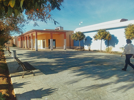 Associació de persones amb discapacitat psíquica de Crevillent - Thumbnail