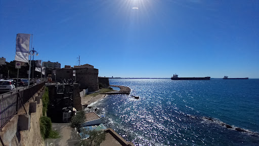 Comune di Taranto - Thumbnail