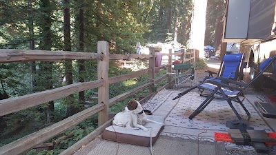 Photos of Santa Cruz Redwoods RV Resort