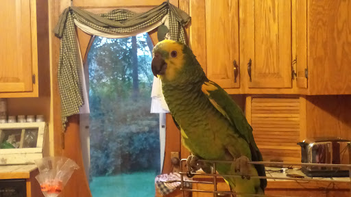 Tri-County Veterinary Services LLC - Thumbnail