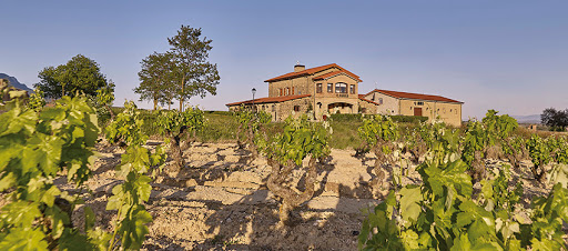 Bodegas Amaren - Visual
