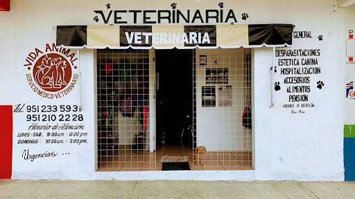 Servicio Médico Veterinario "Vida Animal"