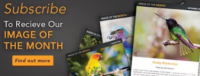 Photos of Rockjumper Birding Tours