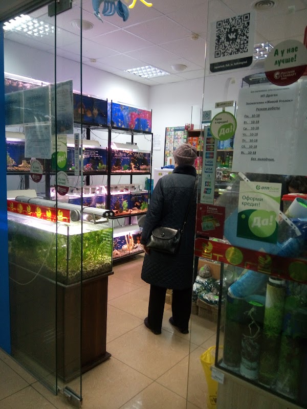 Зоомагазины В Калининграде Интернет Магазин