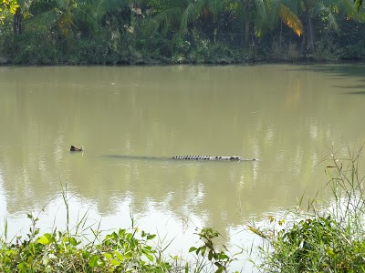 Photos of কুমির প্রজনন কেন্দ্র