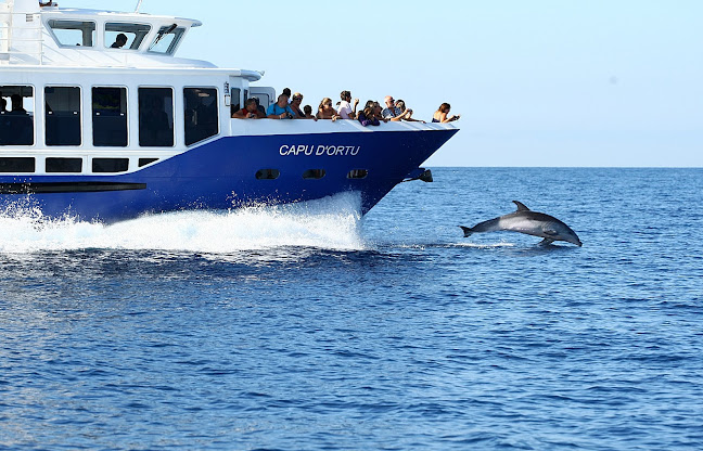 Heures d'ouverture de Nave Va Promenades en Mer Ajaccio