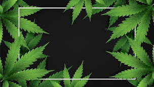 Photo n°2 de Cbd'eau Albi -Saint-Juéry à Saint-Juéry (Boutique de cigarettes électroniques)