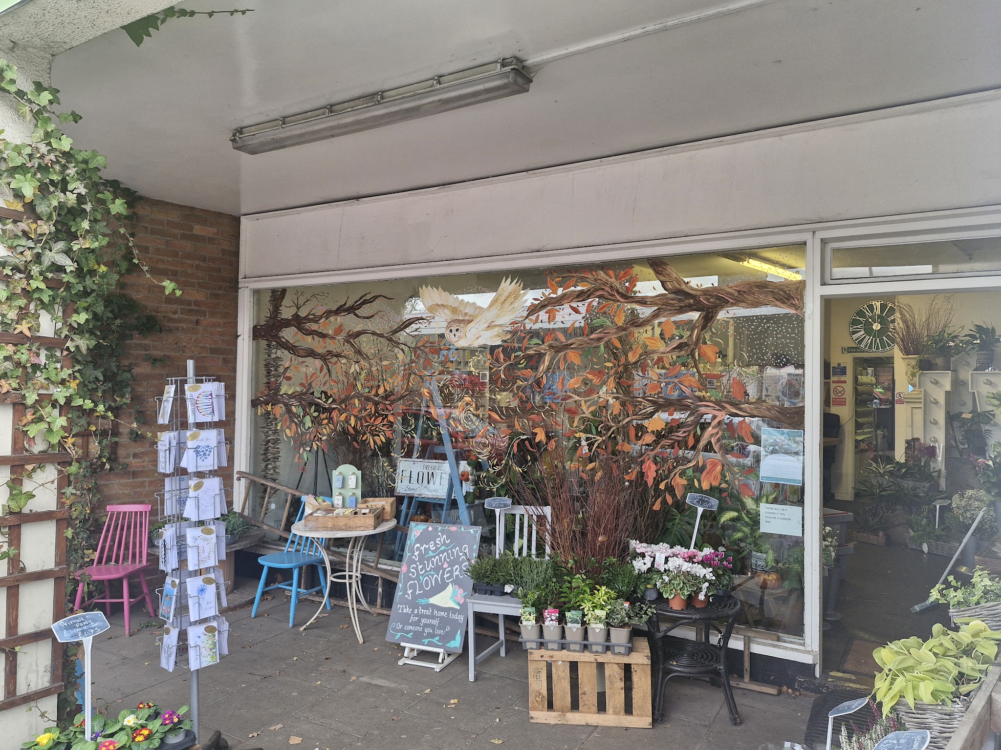 The Flower Room - Florist in Nottingham - Florists - photo 1