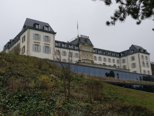 Musée international de la Croix-Rouge et du Croissant-Rouge