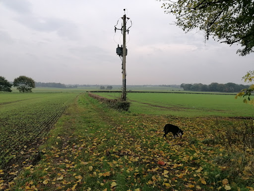 Delph Park - Thumbnail