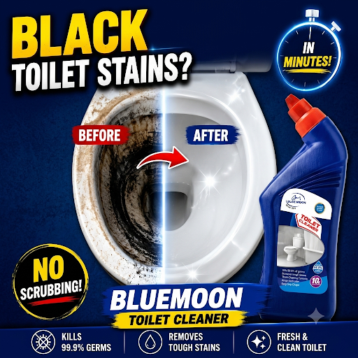 🚽 Remove Stubborn Black Toilet Stains with Bluemoon Toilet Cleaner post image