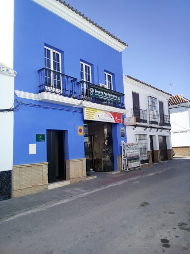 PINTURAS SAN PATRICIO - Thumbnail