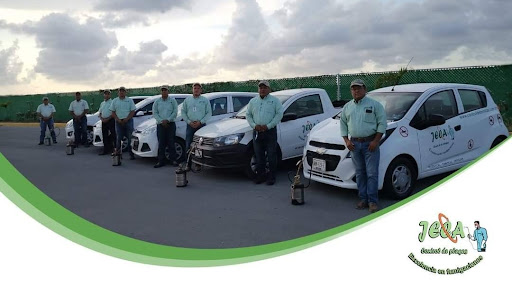 :: FUMIGACIONES JECA PLAYA DEL CARMEN ::