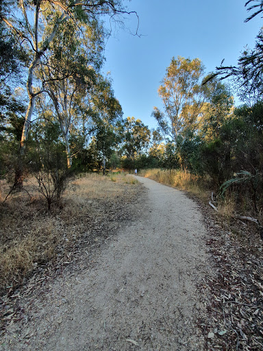 Campbells creek track - Thumbnail