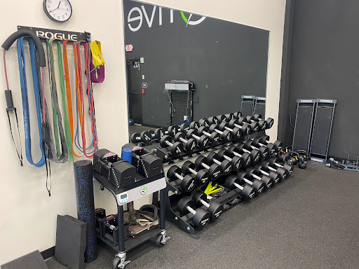 Motive Sports & Physical Therapy - Thumbnail