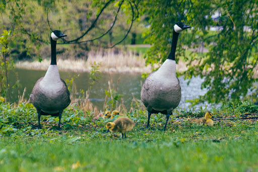 Loring Park Gallery - United States
